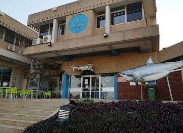 south-africa/kwazulu-natal/attraction/umhlanga-kzn-sharks-board-conference-centre