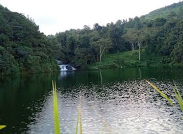 malawi/liwonde-national-park/attraction/mulunguzi-dam-park