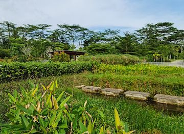 singapore/pulau-semakau/attraction/rail-corridor-bukit-timah