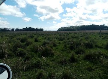 uruguay/valizas/attraction/costa-de-oro-beach