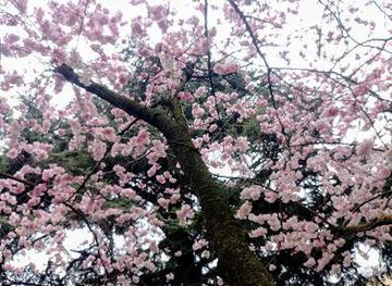 italy/venice-lido/attraction/piazza-petrarca