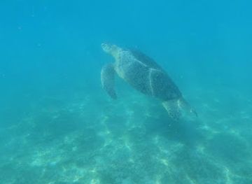 madagascar/nosy-be/attraction/sea-mangroves-mer