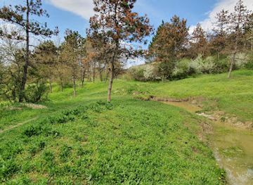 romania/iasi/attraction/padurea-galata