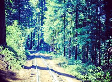 california/redwood-national-and-state-parks/attraction/roaring-camp