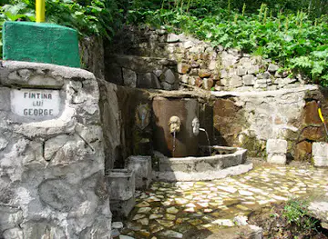 Fântâna lui George