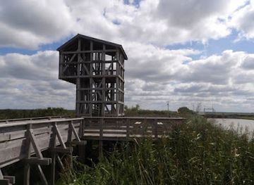 france/pays-de-la-loire/attraction/loire-estuary