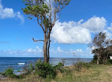 puerto-rico/luquillo/attraction/playa-san-miguel