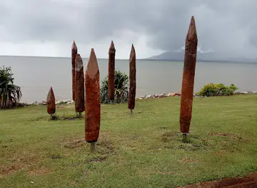 Cardwell Bush Telegraph