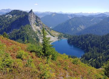 washington/the-blue-mountains/attraction/mt-mccausland