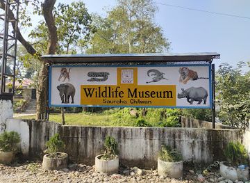 nepal/chitwan/bharatpur/attraction/wildlife-museum