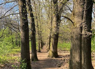 netherlands/veluwe-national-park/attraction/otterlose-bos