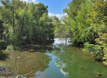 texas/mckinney-falls-state-park/attraction/waller-beach-at-town-lake-metropolitan-park