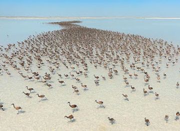 Tuz Lake