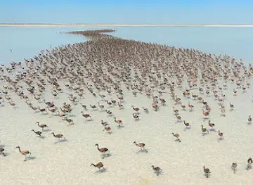 Tuz Lake
