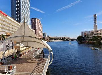 florida/clearwater/attraction/tampa-riverwalk