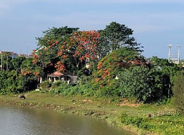 vietnam/north-central-coast/attraction/long-quang-cave