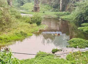 india/munnar/attraction/ssr-falls