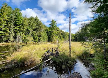 canada/eastern-ontario/attraction/hemlock-bluff-trail
