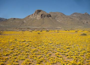 texas/el-paso/attraction/castner-range-national-monument