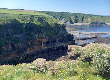 ireland/county-kerry/attraction/bromore-cliffs