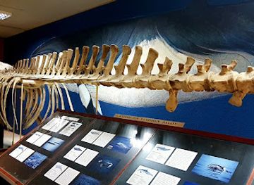 greece/attica/attraction/museum-of-paleontology-and-geology