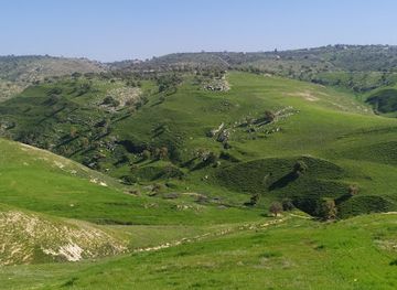 jordan/ajloun-forest-reserve/attraction/alkora-altantour