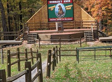 pennsylvania/allegheny-national-forest/attraction/phil-s-burrow