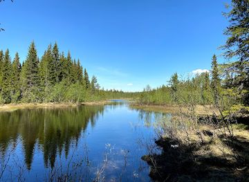 sweden/vasterbotten/attraction/nordic-husky-farm