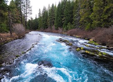 oregon/deschutes-county/attraction/wizard-falls-fish-hatchery