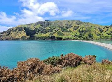 new-zealand/nelson/attraction/cable-bay