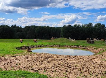 latvia/vidzeme/attraction/deer-park-saulstari