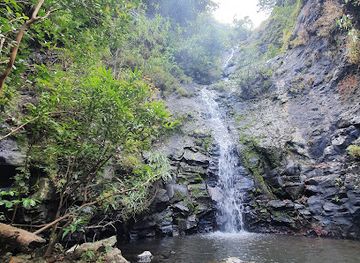 mauritius/chamarel/attraction/joce-waterfall
