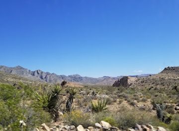 california/mojave-desert/attraction/providence-mountains-state-recreation-area