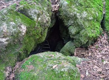 hungary/bakony/attraction/hajszabarnai-penz-lik