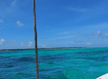 maldives/lhaviyani-atoll/attraction/dolphin-view-point