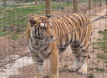 south-africa/cape-town/attraction/vredenheim-wine-farm