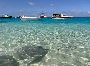 maldives/vaavu-atoll/attraction/sting-ray-feeding-point