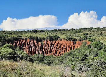 Addo Elephant National Park