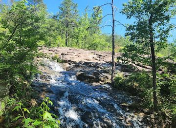 alabama/alabama-coastal-birding-trail/attraction/moss-rock-preserve