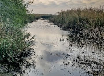 louisiana/sabine-national-wildlife-refuge/attraction/sabine-wetland-walkway
