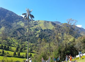colombia/cocora-valley/attraction/la-vida-es-bella
