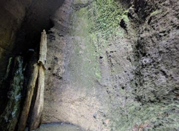 dominica/saint-andrew/attraction/fau-valley-canyon