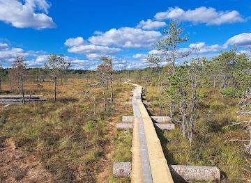 finland/lahti/attraction/linnaistensuo-nature-trail