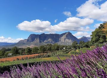 south-africa/cape-winelands/attraction/delaire-graff-estate