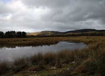 united-kingdom/scotland/attraction/moffat-community-nature-reserve