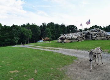 new-york/adirondack-mountains/attraction/adirondack-animal-land