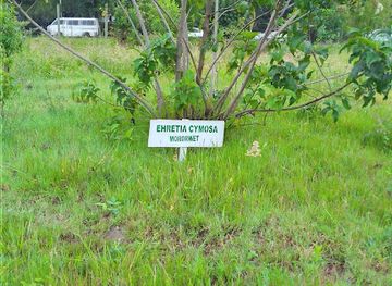 kenya/eldoret/attraction/aboratum-tower-eldoret