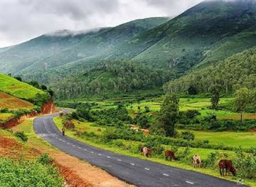 india/eastern-india/attraction/deomali-hill