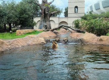 louisiana/baton-rouge/attraction/mike-the-tiger-s-habitat