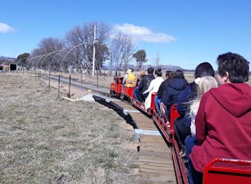 australia/canberra/kingston/attraction/canberra-miniature-railway